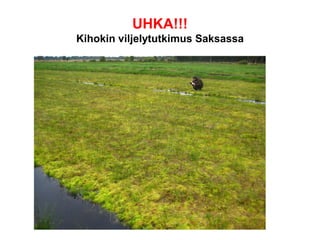 UHKA!!!
Kihokin viljelytutkimus Saksassa
 