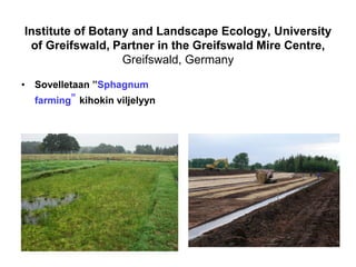 Institute of Botany and Landscape Ecology, University
of Greifswald, Partner in the Greifswald Mire Centre,
Greifswald, Germany
• Sovelletaan ”Sphagnum
farming” kihokin viljelyyn
 
