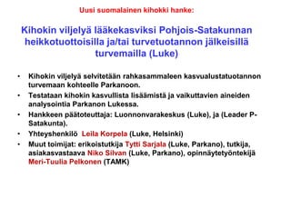 Uusi suomalainen kihokki hanke:
Kihokin viljelyä lääkekasviksi Pohjois-Satakunnan
heikkotuottoisilla ja/tai turvetuotannon jälkeisillä
turvemailla (Luke)
• Kihokin viljelyä selvitetään rahkasammaleen kasvualustatuotannon
turvemaan kohteelle Parkanoon.
• Testataan kihokin kasvullista lisäämistä ja vaikuttavien aineiden
analysointia Parkanon Lukessa.
• Hankkeen päätoteuttaja: Luonnonvarakeskus (Luke), ja (Leader P-
Satakunta).
• Yhteyshenkilö Leila Korpela (Luke, Helsinki)
• Muut toimijat: erikoistutkija Tytti Sarjala (Luke, Parkano), tutkija,
asiakasvastaava Niko Silvan (Luke, Parkano), opinnäytetyöntekijä
Meri-Tuulia Pelkonen (TAMK)
 