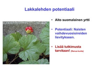 Lakkalehden potentiaali
• Aito suomalainen yrtti
• Potentiaali: Naisten
vaihdevuosioireiden
lievitykseen.
• Lisää tutkimusta
tarvitaan! (Ranua kunta)
 