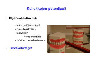 Kellukkojen potentiaali
• Käyttömahdollisuuksia:
- eläinten lääkinnässä
- ihmisille ulkoisesti
- suuvesien
komponenttina
- liköörien maustamisessa
• Tuotekehittely!!
 
