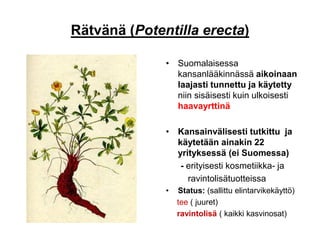 Rätvänä (Potentilla erecta)
• Suomalaisessa
kansanlääkinnässä aikoinaan
laajasti tunnettu ja käytetty
niin sisäisesti kuin ulkoisesti
haavayrttinä
• Kansainvälisesti tutkittu ja
käytetään ainakin 22
yrityksessä (ei Suomessa)
- erityisesti kosmetiikka- ja
ravintolisätuotteissa
• Status: (sallittu elintarvikekäyttö)
tee ( juuret)
ravintolisä ( kaikki kasvinosat)
 