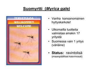 Suomyrtti (Myrica gale)
• Vanha kansanomainen
hyttyskarkote!
• Ulkomailla tuotteita
valmistaa ainakin 17
yritystä
• Suomessa vain 1 yritys
(väriäine)
• Status: ravintolisä
(maanpäälliset kasvinosat)
 