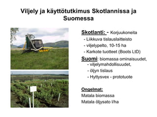 Viljely ja käyttötutkimus Skotlannissa ja
Suomessa
Skotlanti: - Korjuukoneita
- Liikkuva tislauslaitteisto
- viljelypelto, 10-15 ha
- Karkote tuotteet (Boots LtD)
Suomi: biomassa ominaisuudet,
- viljelymahdollisuudet,
- öljyn tislaus
- Hyttysvex - prototuote
Ongelmat:
Matala biomassa
Matala öljysato l/ha
 