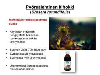 Pyöreälehtinen kihokki
(Drosera rotundifolia)
Merkittävin rohdoskasvimme
suolla
• Käytetään erityisesti
hengitysteitä hoitavissa
tuotteissa, mm. yskän
lievityksessä
• Suomen vienti 700-1500 kg/v
• Euroopassa 26 yrityksessä
• Suomessa vain 3 yrityksessä
• Useammissa Eurooppalaisissa
maissa uhanalainen
 