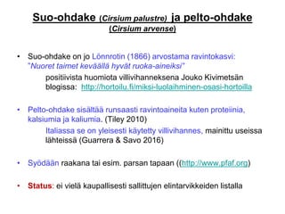 Suo-ohdake (Cirsium palustre) ja pelto-ohdake
(Cirsium arvense)
• Suo-ohdake on jo Lönnrotin (1866) arvostama ravintokasvi:
”Nuoret taimet keväällä hyvät ruoka-aineiksi”
positiivista huomiota villivihanneksena Jouko Kivimetsän
blogissa: http://hortoilu.fi/miksi-luolaihminen-osasi-hortoilla
• Pelto-ohdake sisältää runsaasti ravintoaineita kuten proteiinia,
kalsiumia ja kaliumia. (Tiley 2010)
Italiassa se on yleisesti käytetty villivihannes, mainittu useissa
lähteissä (Guarrera & Savo 2016)
• Syödään raakana tai esim. parsan tapaan ((http://www.pfaf.org)
• Status: ei vielä kaupallisesti sallittujen elintarvikkeiden listalla
 