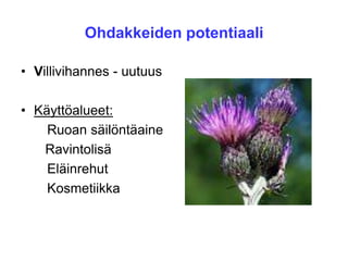 Ohdakkeiden potentiaali
• Villivihannes - uutuus
• Käyttöalueet:
Ruoan säilöntäaine
Ravintolisä
Eläinrehut
Kosmetiikka
 