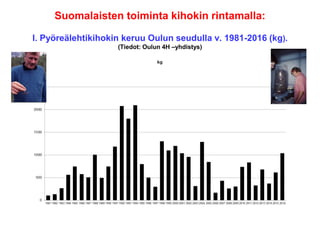 Suomalaisten toiminta kihokin rintamalla:
I. Pyöreälehtikihokin keruu Oulun seudulla v. 1981-2016 (kg).
(Tiedot: Oulun 4H –yhdistys)
 