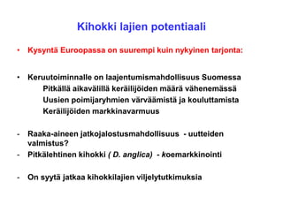 Kihokki lajien potentiaali
• Kysyntä Euroopassa on suurempi kuin nykyinen tarjonta:
• Keruutoiminnalle on laajentumismahdollisuus Suomessa
Pitkällä aikavälillä keräilijöiden määrä vähenemässä
Uusien poimijaryhmien värväämistä ja kouluttamista
Keräilijöiden markkinavarmuus
- Raaka-aineen jatkojalostusmahdollisuus - uutteiden
valmistus?
- Pitkälehtinen kihokki ( D. anglica) - koemarkkinointi
- On syytä jatkaa kihokkilajien viljelytutkimuksia
 
