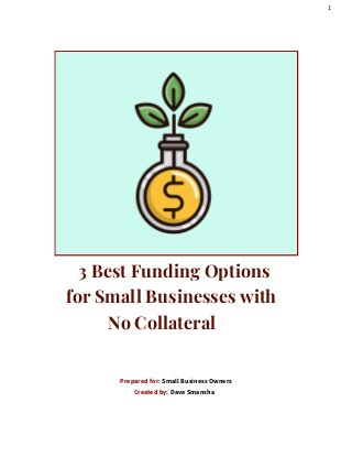 1
3 Best Funding Options
for Small Businesses with
No Collateral
Prepared for: Small Business Owners
Created by: Dave Smansha
 