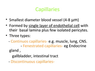 Microanatomy cardiovascular system cvs anatomy | PPT