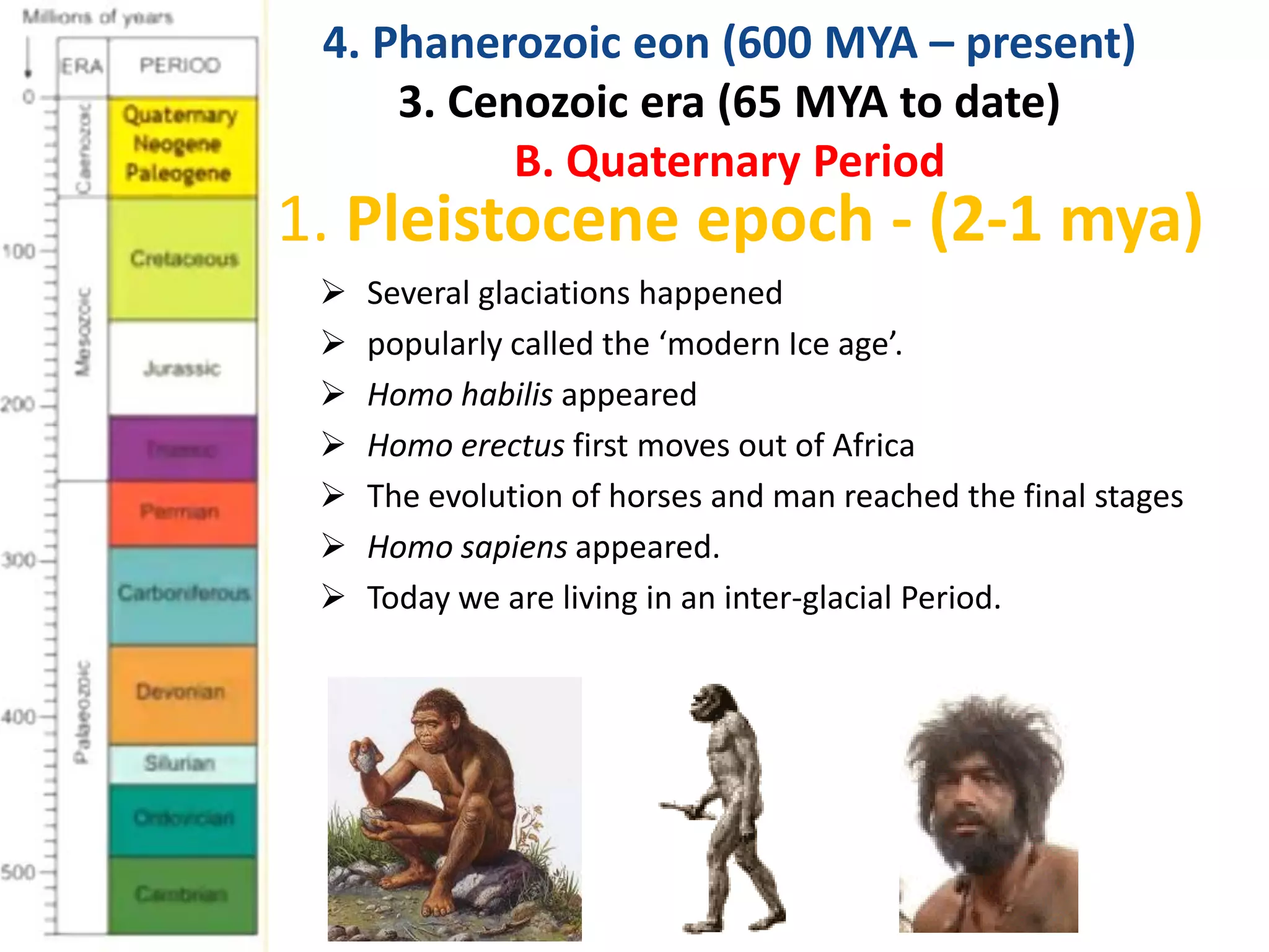 1. Pleistocene epoch - (2-1 mya)
 Several glaciations happened
 popularly called the ‘modern Ice age’.
 Homo habilis appeared
 Homo erectus first moves out of Africa
 The evolution of horses and man reached the final stages
 Homo sapiens appeared.
 Today we are living in an inter-glacial Period.
4. Phanerozoic eon (600 MYA – present)
3. Cenozoic era (65 MYA to date)
B. Quaternary Period
 