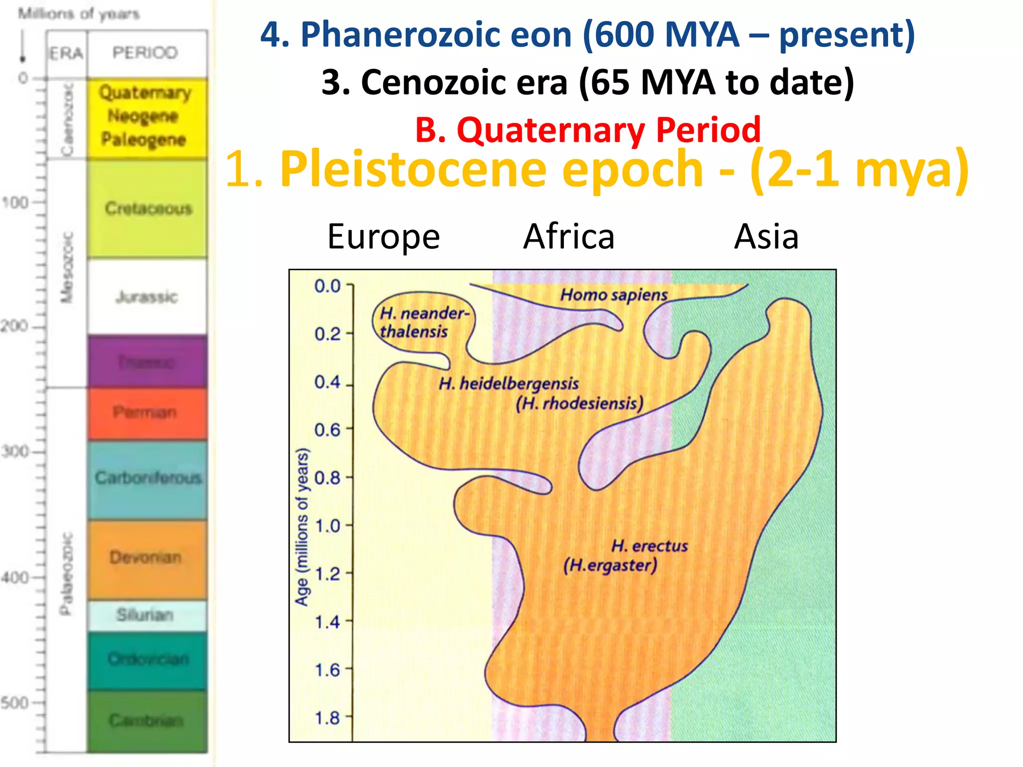 Europe Africa Asia
1. Pleistocene epoch - (2-1 mya)
4. Phanerozoic eon (600 MYA – present)
3. Cenozoic era (65 MYA to date)
B. Quaternary Period
 
