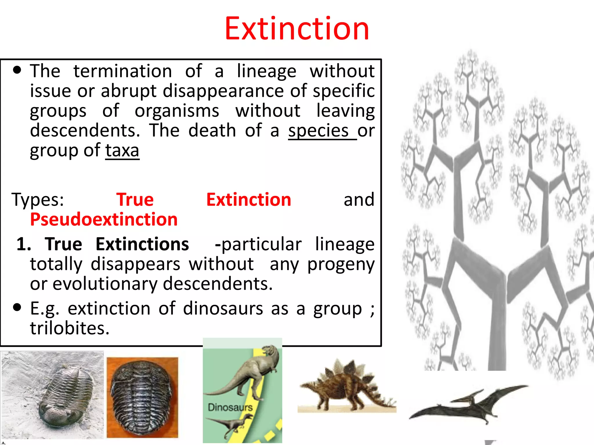 Extinction
 The termination of a lineage without
issue or abrupt disappearance of specific
groups of organisms without leaving
descendents. The death of a species or
group of taxa
Types: True Extinction and
Pseudoextinction
1. True Extinctions -particular lineage
totally disappears without any progeny
or evolutionary descendents.
 E.g. extinction of dinosaurs as a group ;
trilobites.
 