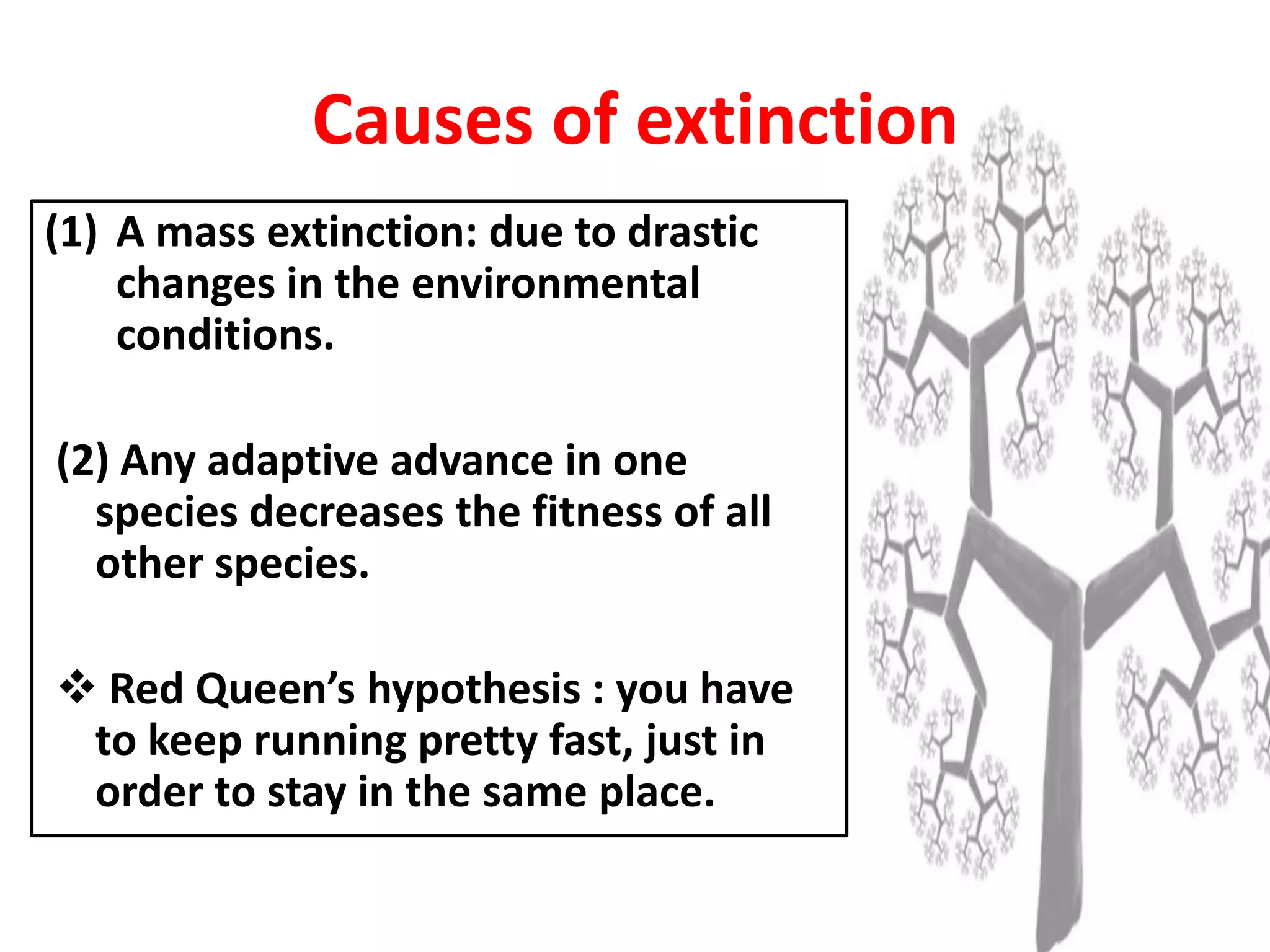Causes of extinction
(1) A mass extinction: due to drastic
changes in the environmental
conditions.
(2) Any adaptive advance in one
species decreases the fitness of all
other species.
 Red Queen’s hypothesis : you have
to keep running pretty fast, just in
order to stay in the same place.
 