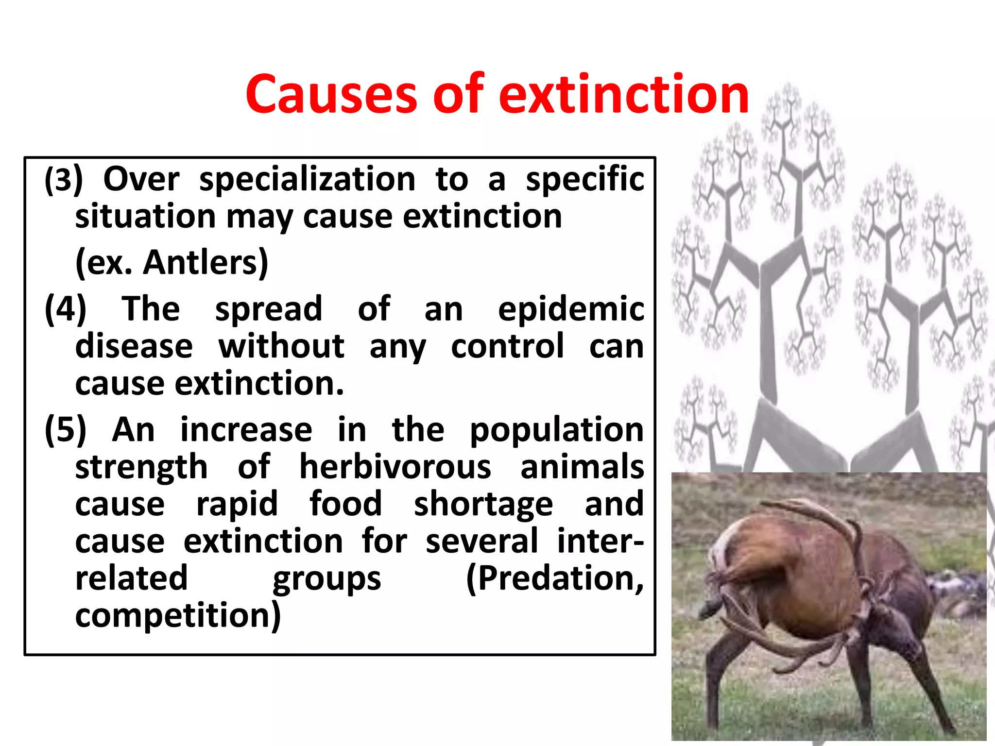 (3) Over specialization to a specific
situation may cause extinction
(ex. Antlers)
(4) The spread of an epidemic
disease without any control can
cause extinction.
(5) An increase in the population
strength of herbivorous animals
cause rapid food shortage and
cause extinction for several inter-
related groups (Predation,
competition)
Causes of extinction
 