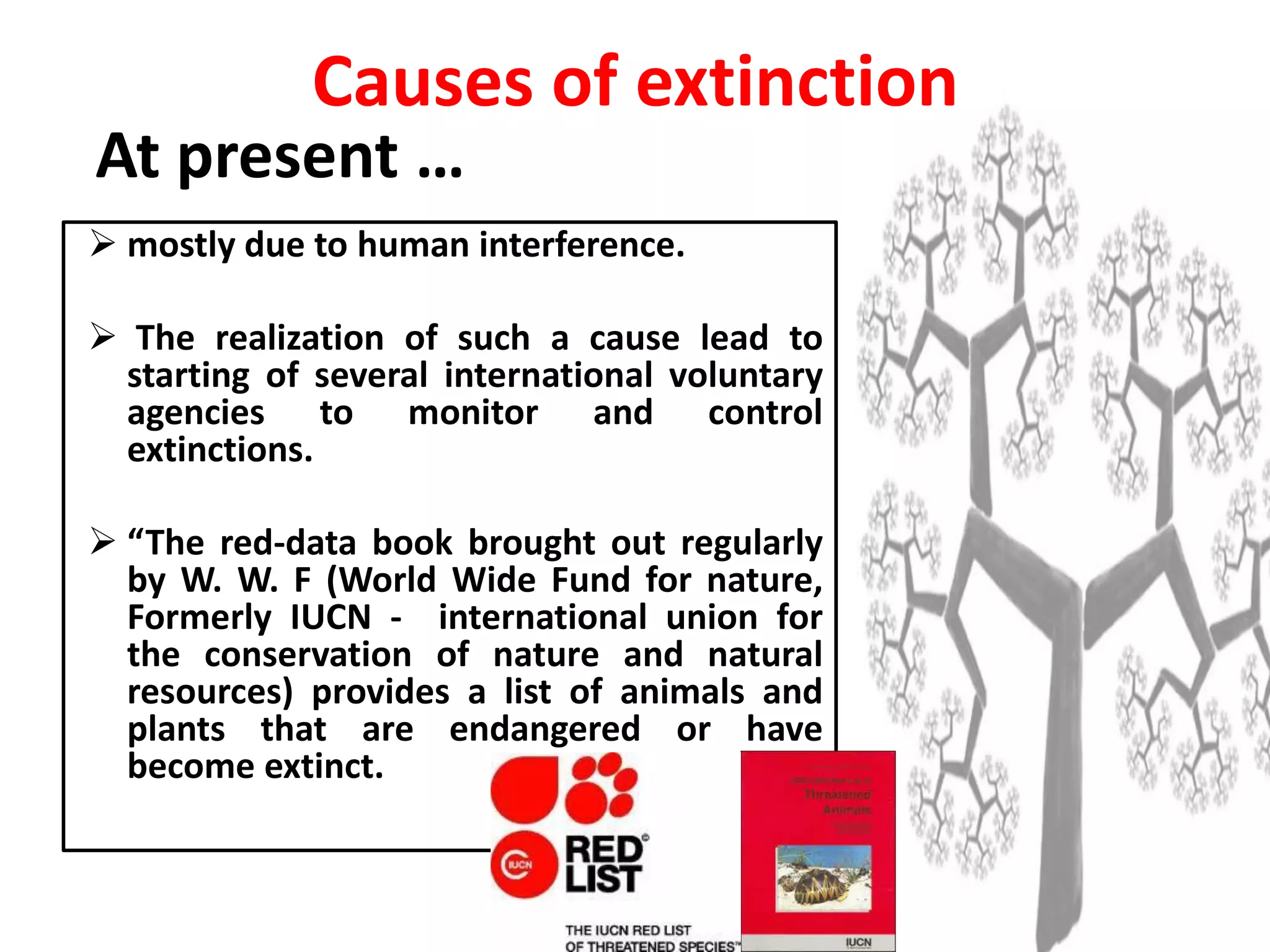 At present …
 mostly due to human interference.
 The realization of such a cause lead to
starting of several international voluntary
agencies to monitor and control
extinctions.
 “The red-data book brought out regularly
by W. W. F (World Wide Fund for nature,
Formerly IUCN - international union for
the conservation of nature and natural
resources) provides a list of animals and
plants that are endangered or have
become extinct.
Causes of extinction
 
