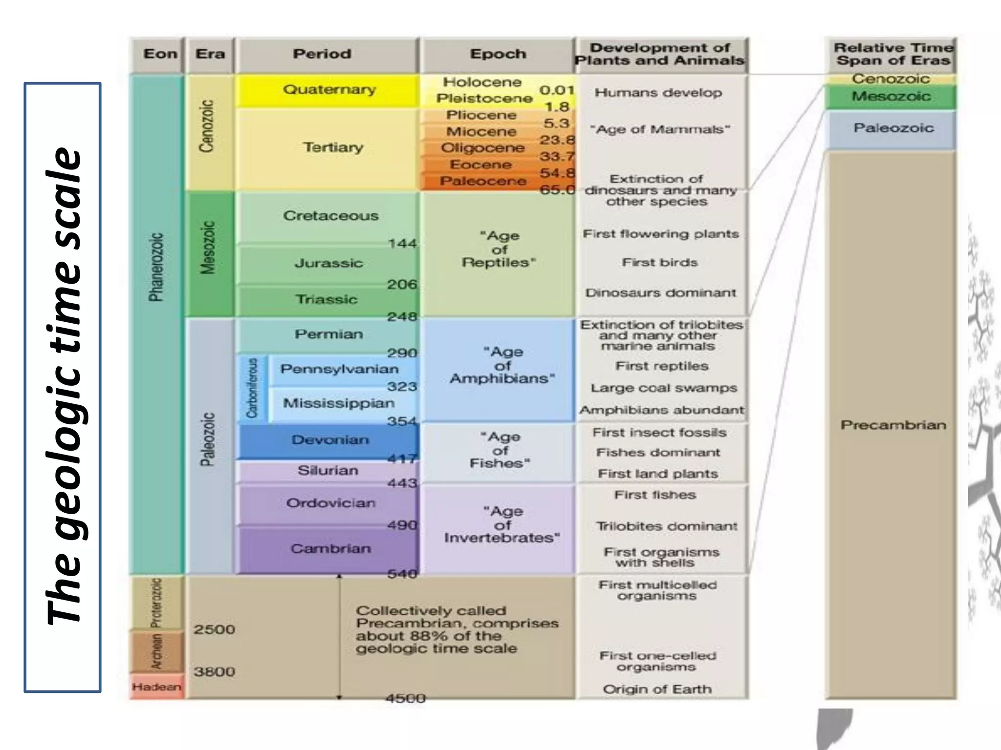 .Thegeologictimescale
 