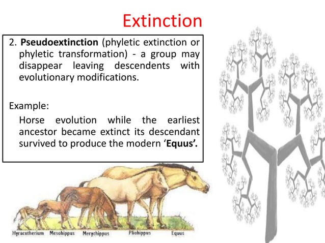 Geologic time scale and extinction | PDF | Geology | Science