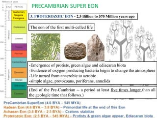 Geologic time scale and extinction | PDF