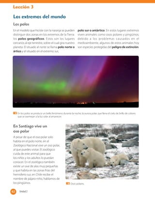 Lección 3
Los extremos del mundo
Los polos
En los polos se produce un bello fenómeno durante la noche, la aurora polar, que llena el cielo de brillo de colores
que se asemejan a la luz solar al amanecer.
Osos polares.
En Santiago vive un
oso polar
A pesar de que el oso polar solo
habita en el polo norte, en el
Zoológico Nacional vive un oso polar,
al que puedes visitar. El zoológico
cuida de este animal para que
los niños y los adultos lo puedan
conocer. En el zoológico también
existe un ave de alas muy pequeñas
y que habita en las zonas frías del
hemisferio sur, en Chile recibe el
nombre de pájaro-niño, hablamos de
los pingüinos.
En el modelo que hiciste con la naranja se pueden
distinguir dos zonas en los extremos de la Tierra:
los polos geográficos. Estos son los lugares
cercanos al eje terrestre, sobre el cual gira nuestro
planeta. El situado al norte se llama polo norte o
ártico y el situado en el extremo sur,
polo sur o antártico. En estos lugares extremos
viven animales como osos polares y pingüinos;
debido a los problemas causados en el
medioambiente, algunos de estos animales hoy
son especies protegidas del peligro de extinción.
62 Unidad 262
 