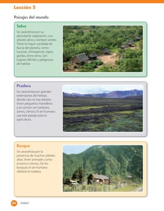 Lección 5
Paisajes del mundo
84 Unidad 284
Selva
Se caracteriza por su
abundante vegetación, con
árboles altos y siempre verdes.
Tiene la mayor cantidad de
fauna del planeta, como
tucanes, chimpancés, tigres,
gorilas, entre otros. Son
lugares difíciles y peligrosos
de habitar.
Pradera
Se caracteriza por grandes
extensiones de hierbas
donde casi no hay árboles.
Viven pequeños mamíferos
y es común ver roedores,
zorros, ciervos. El ser humano
usa este paisaje para la
agricultura.
Bosque
Se caracteriza por la
presencia de muchos árboles
altos. Viven animales como
el zorro y ciervos. De los
bosques el ser humano
obtiene la madera.
 