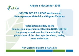 1
Angers 6 december 2018
Participation by Italy to the
Commission Implementing Decision (2014/150/EU) 
temporary experiment for the marketing of 
populations of the plant species wheat, barley, 
(oats and maize)
Pier Giacomo Bianchi & Maria Losi
LIVESEED, ECO‐PB & CPVO Workshop on
Heterogeneous Material and Organic Varieties
 