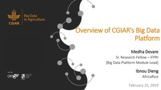 Overview of CGIAR’s Big Data
Platform
Medha Devare
Sr. Research Fellow – IFPRI
[Big Data Platform Module Lead]
Ibnou Dieng
AfricaRice
February 15, 2019
 