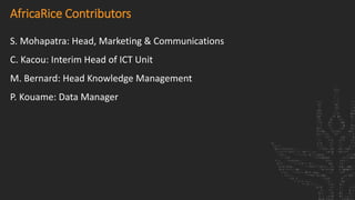 S. Mohapatra: Head, Marketing & Communications
C. Kacou: Interim Head of ICT Unit
M. Bernard: Head Knowledge Management
P. Kouame: Data Manager
AfricaRice Contributors
 
