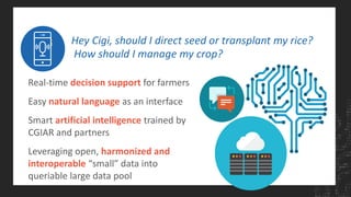 Hey Cigi, should I direct seed or transplant my rice?
How should I manage my crop?
Real-time decision support for farmers
Easy natural language as an interface
Smart artificial intelligence trained by
CGIAR and partners
Leveraging open, harmonized and
interoperable “small” data into
queriable large data pool
 