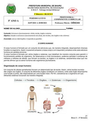 21
Bloco 5 – 3º Bimestre
PREFEITURA MUNICIPAL DE BAURU
SECRETARIA MUNICIPAL DE EDUCAÇÃO
E.M.E.F. “Cônego Aníbal Difrância”
3º Bimestre - BLOCO 5
5º ANO A
PERÍODO LETIVO
PROFESSOR(A) –
COMPONENTE CURRICULAR
26/07/2021 A 20/08/2021 Professora Márcia - CIÊNCIAS
NOME DO ALUNO: ____________________________________________TURMA: ________
Conteúdo: Estrutura e funcionamento: célula, tecido, órgão e sistema.
Objetivo: Estudar a estrutura e funcionamento da célula, dos tecidos, dos órgãos e dos sistemas.
Enunciado: Leia as informações e responda as questões:
O CORPO HUMANO
O corpo humano é formado por um conjunto de estruturas que, de maneira integrada, desempenham diversas
funções no organismo. Assim, é possível comparar o nosso corpo a um maquinário complexo onde cada estrutura
funciona em perfeita sincronia.
O corpo humano é formado por vários órgãos e sistemas, que trabalham de maneira conjunta para garantir o
funcionamento perfeito do organismo. Se observamos a nível microscópico, podemos perceber a presença de
milhares e milhares de células, que formam os tecidos, os órgãos e os sistemas, característica essa que nos
permite afirmar que os seres humanos são organismos pluricelulares.
Organização do corpo humano:
Um conjunto de células semelhantes formam um determinado tipo de tecido. Assim, vários tecidos reunidos
dão origem aos órgãos. O conjunto de diferentes órgãos constituem um sistema, onde cada órgão desempenha
uma função e juntos, são responsáveis por uma função maior. Por fim, caracteriza-se o organismo em que
diferentes sistemas funcionam de maneira integrada.
 