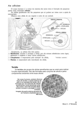 22
Bloco 5 – 3º Bimestre
 