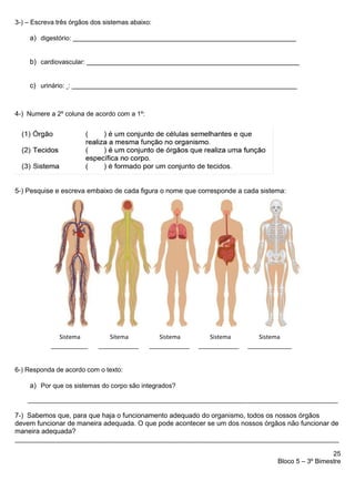 25
Bloco 5 – 3º Bimestre
3-) – Escreva três órgãos dos sistemas abaixo:
a) digestório:
b) cardiovascular:
c) urinário: :
4-) Numere a 2º coluna de acordo com a 1º:
5-) Pesquise e escreva embaixo de cada figura o nome que corresponde a cada sistema:
Sistema Sitema Sistema Sistema Sistema
__________ ___________ ___________ ___________ ____________
6-) Responda de acordo com o texto:
a) Por que os sistemas do corpo são integrados?
7-) Sabemos que, para que haja o funcionamento adequado do organismo, todos os nossos órgãos
devem funcionar de maneira adequada. O que pode acontecer se um dos nossos órgãos não funcionar de
maneira adequada?
_______________________________________________________________________________________________
 