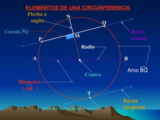 ELEMENTOS DE UNA CIRCUNFERENCIA  A B M N Recta tangente Recta secante Flecha o  sagita Diámetro AB (  ) Centro T  Punto de tangencia Q  P  Radio Arco BQ Cuerda PQ 