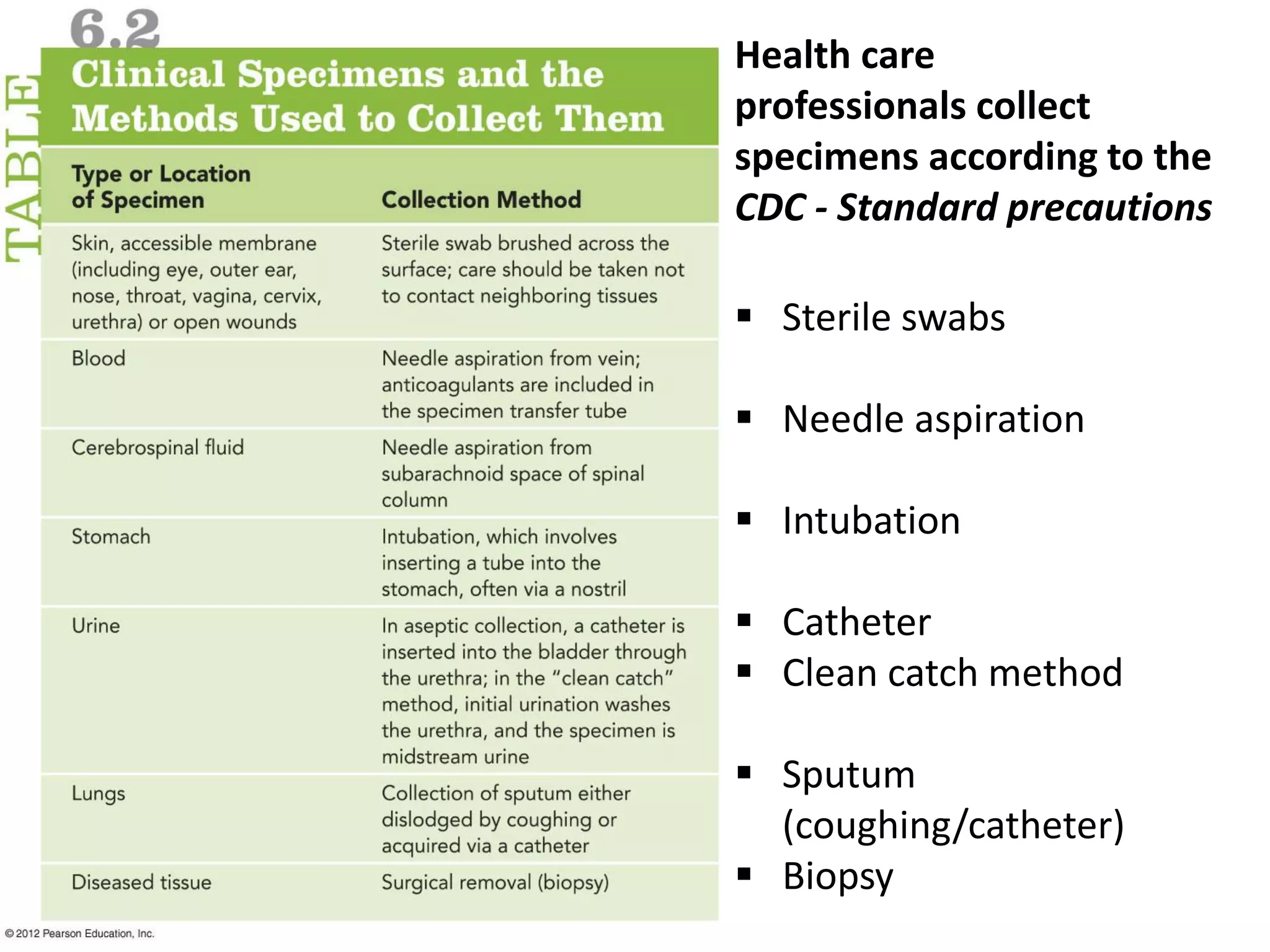 Health care
professionals collect
specimens according to the
CDC - Standard precautions
 Sterile swabs
 Needle aspiration
 Intubation
 Catheter
 Clean catch method
 Sputum
(coughing/catheter)
 Biopsy
 