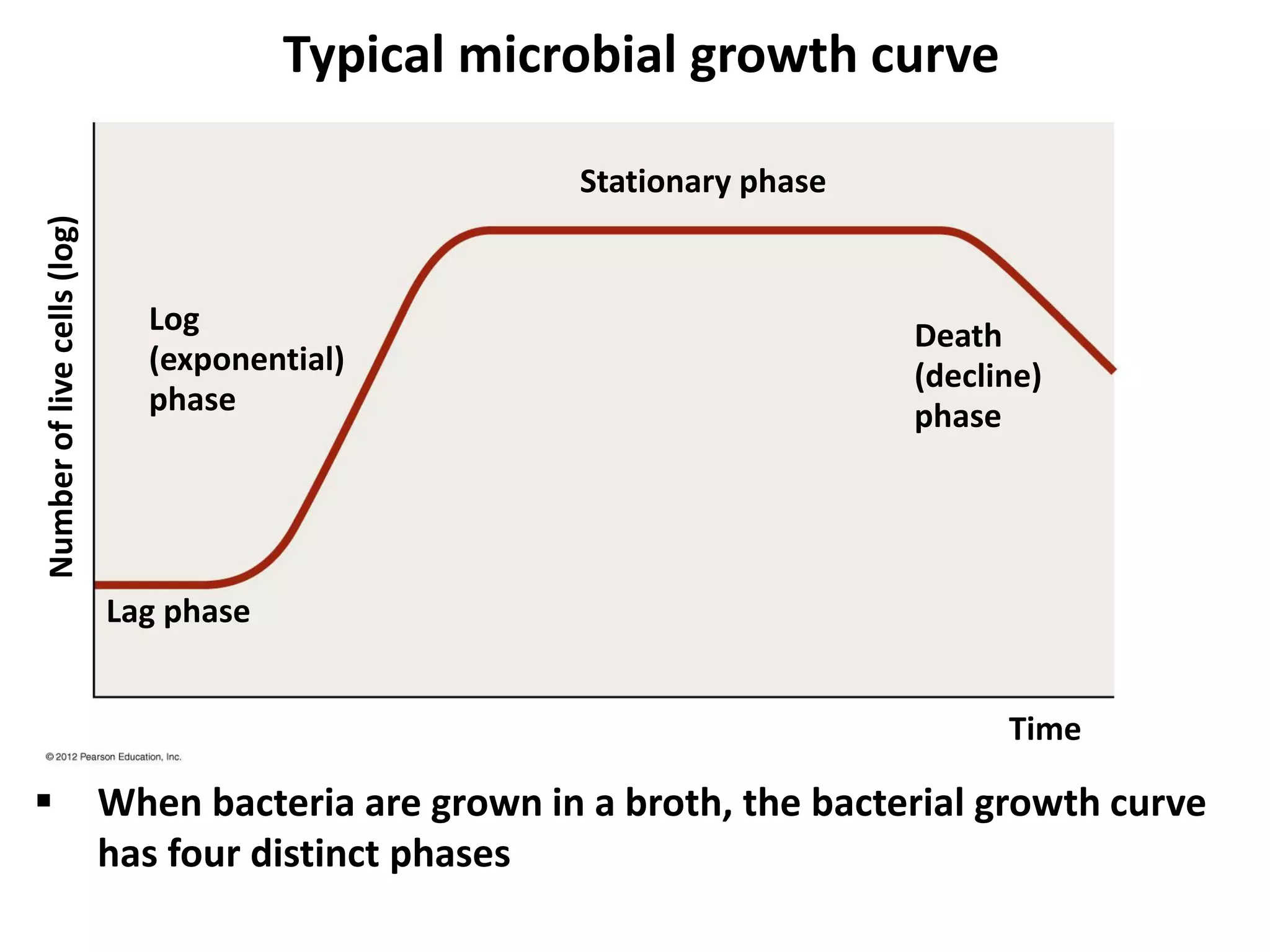Typical microbial growth curve
Stationary phase
Death
(decline)
phase
Log
(exponential)
phase
Lag phase
Time
Numberoflivecells(log)
 When bacteria are grown in a broth, the bacterial growth curve
has four distinct phases
 
