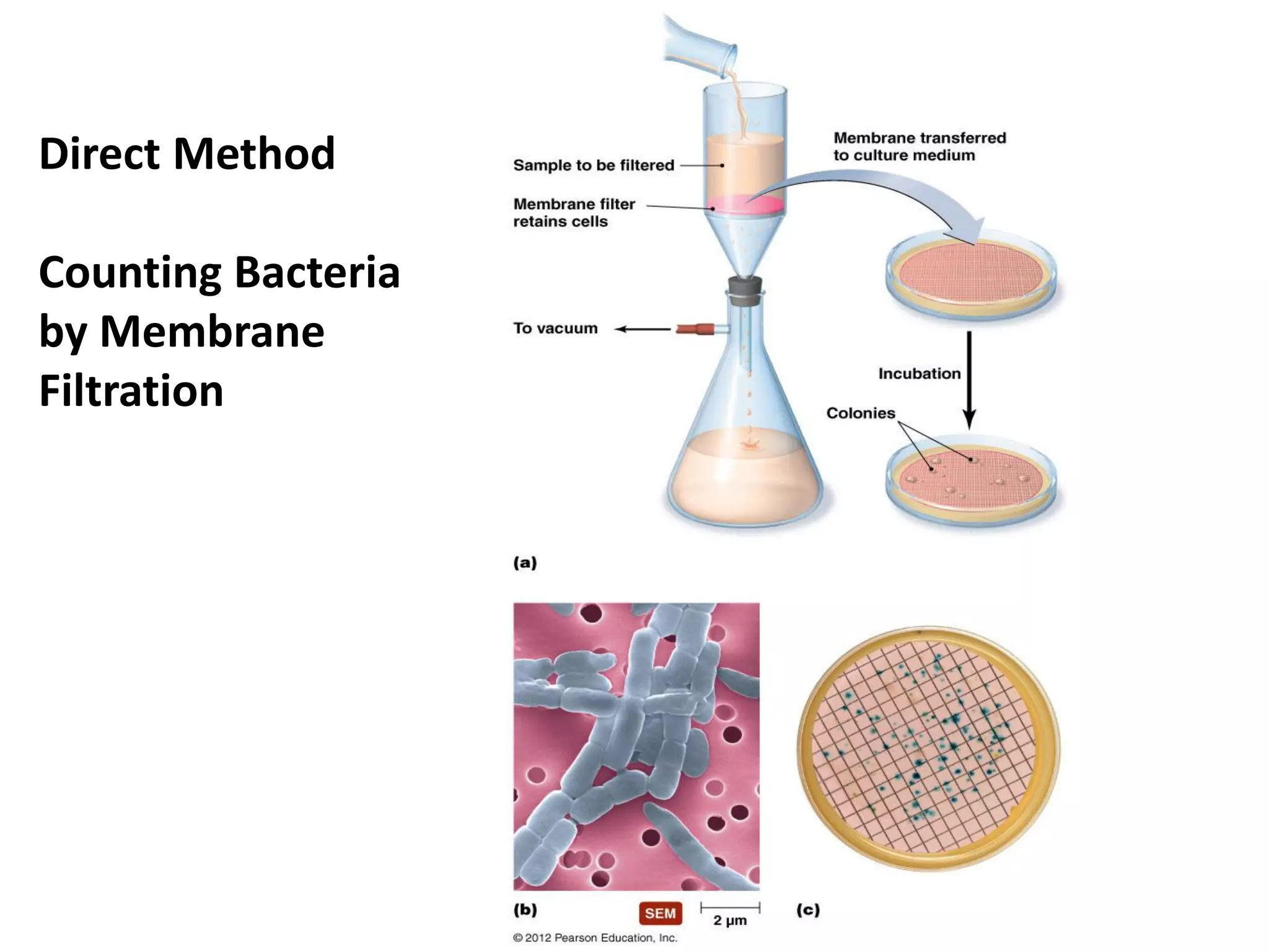 Direct Method
Counting Bacteria
by Membrane
Filtration
 