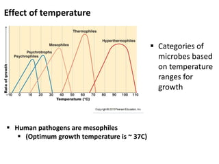 3 bio265 microbial growth instructor dr di bonaventura | PDF