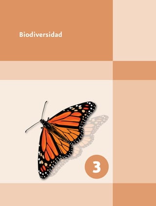 Biodiversidad




                3
 