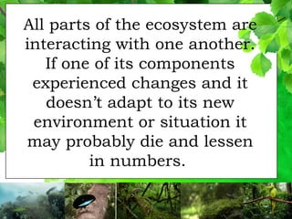 #3 Biodiversity and Evolution Final.pptx