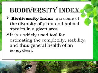 #3 Biodiversity and Evolution Final.pptx