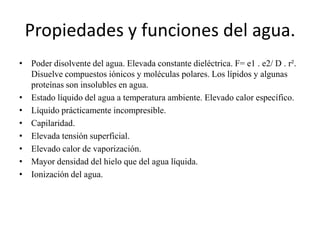 Propiedades y funciones del agua.
• Poder disolvente del agua. Elevada constante dieléctrica. F= e1 . e2/ D . r².
Disuelve...