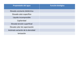 Propiedades del agua Función biológica
Elevada constante dieléctrica
Elevado calor específico
Líquido incompresible
Capila...