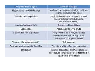 Propiedades del agua Función biológica
Elevada constante dieléctrica Disolvente de compuestos iónicos, moléculas
polares, ...