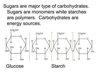 Sugars are major type of carbohydrates. Sugars are monomers while starches are polymers. Carbohydrates are energy sources. Glucose Starch
