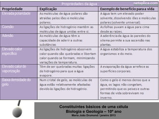 Constituintes básicos de uma célula
   Biologia e Geologia – 10º ano
      Maria João Drumond / janeiro 2013
 