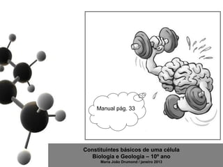 Manual pág. 33




Constituintes básicos de uma célula
   Biologia e Geologia – 10º ano
      Maria João Drumond / janeiro 2013
 