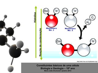 Hidrólise

             Reação de condensação




                                                                         http://static.hsw.com.br/gif/plastic-6.gif



            Constituintes básicos de uma célula
               Biologia e Geologia – 10º ano
                                     Maria João Drumond / janeiro 2013
 