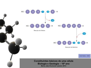 Constituintes básicos de uma célula
   Biologia e Geologia – 10º ano
      Maria João Drumond / janeiro 2013
 