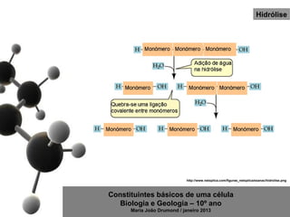 Hidrólise




                            http://www.netxplica.com/figuras_netxplica/exanac/hidrolise.png



Constituintes básicos de uma célula
   Biologia e Geologia – 10º ano
      Maria João Drumond / janeiro 2013
 